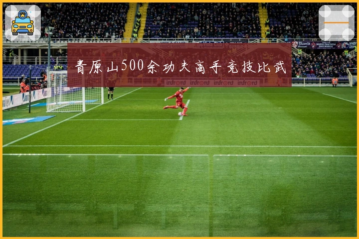 青原山500余功夫高手竞技比武