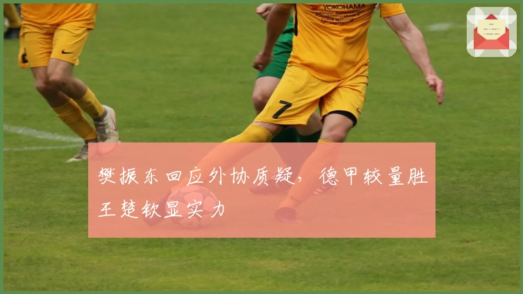 樊振东回应外协质疑，德甲较量胜王楚钦显实力