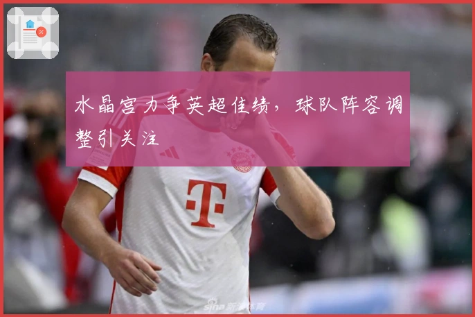 水晶宫力争英超佳绩,球队阵容调整引关注