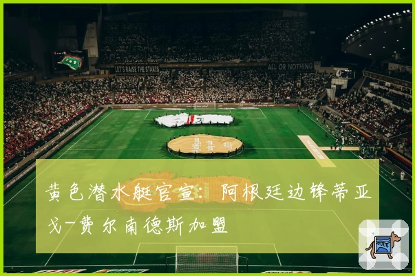 黄色潜水艇官宣:阿根廷边锋蒂亚戈-费尔南德斯加盟