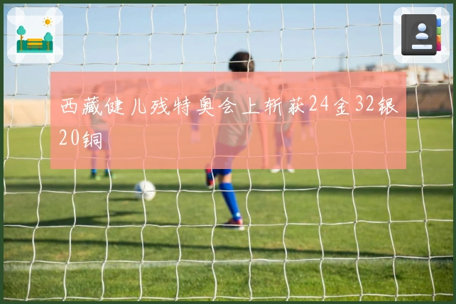 西藏健儿残特奥会上斩获24金32银20铜