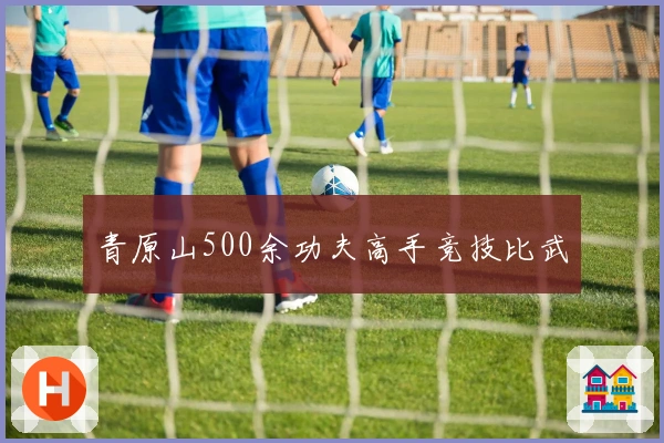 青原山500余功夫高手竞技比武