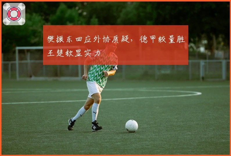 樊振东回应外协质疑，德甲较量胜王楚钦显实力